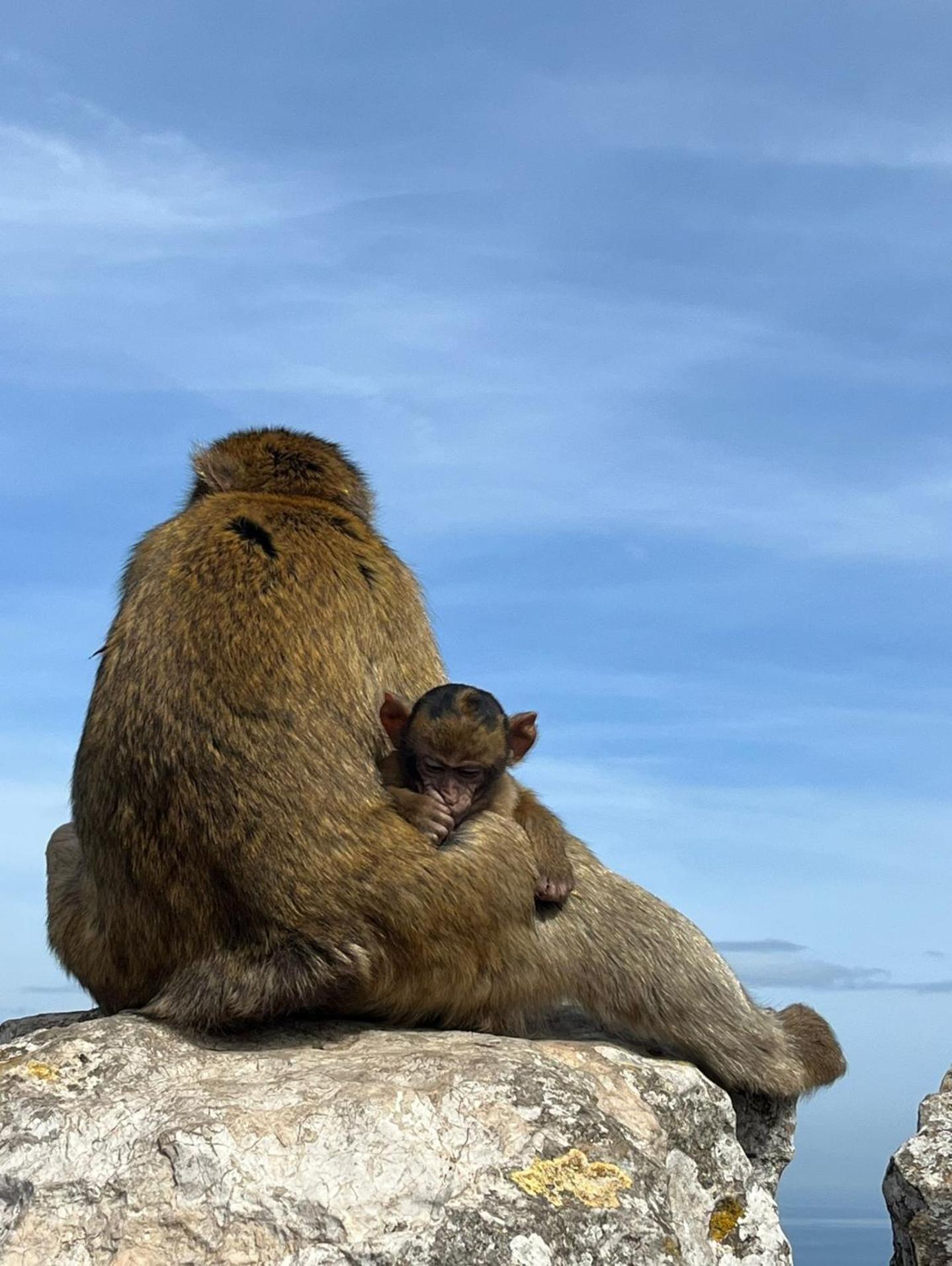 Sunny Gibraltar Leilighet Eksteriør bilde
